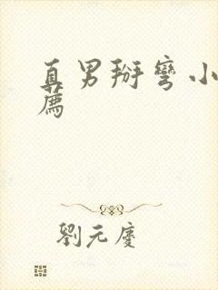 直男掰弯小说推荐