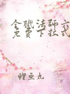 全职法师六漫画免费下拉式六漫画