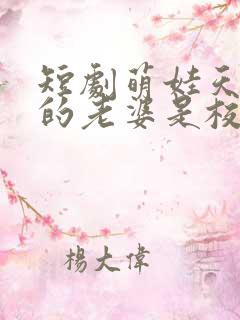 短剧萌娃天降我的老婆是校花完整版