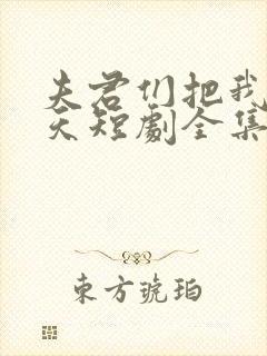夫君们把我宠上天短剧全集完整版