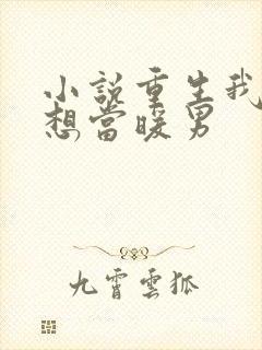 小说重生我真没想当暖男