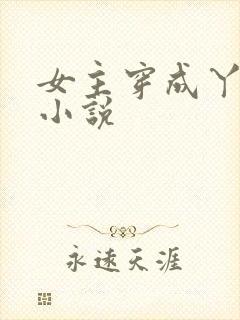 女主穿成丫鬟的小说