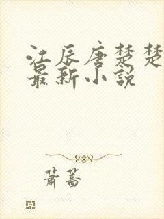 江辰唐楚楚更新最新小说