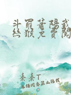 斗罗萧阳武魂金丝猴免费阅读全文