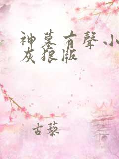 神墓有声小说大灰狼版