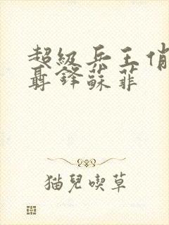 超级兵王俏总裁聂锋苏菲