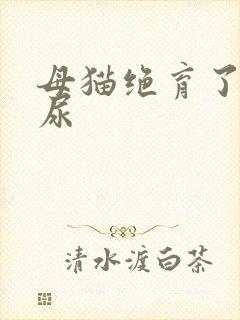 母猫绝育了还乱尿