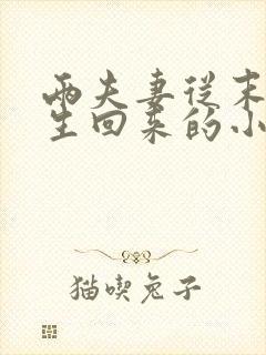 两夫妻从末世重生回来的小说