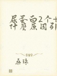 尿蛋白2个+是什么原因引起的