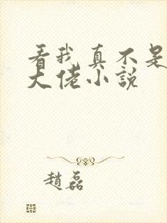 看我真不是女装大佬小说