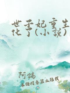 世子妃重生后黑化了(小说)