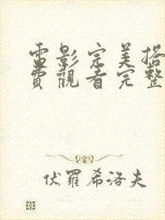 电影完美搭档免费观看完整版高清