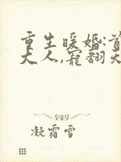 重生暖婚:首长大人,宠翻天