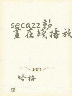 secazz动画在线播放免费版