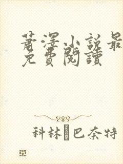 萧泽小说最新版免费阅读