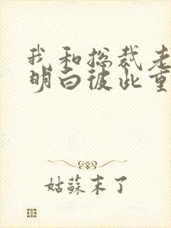 我和总裁老公都明白彼此重生了