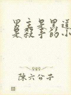 男主是黑道女主是杀手的小说