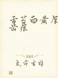 舌苔白黄厚腻有齿痕