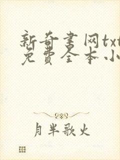 新奇书网txt免费全本小说