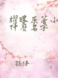 耀眼原著小说叫什么名字