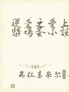 逆袭之爱上情敌柴鸡蛋小说完整版