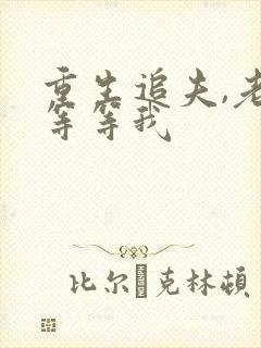 重生追夫,老公等等我