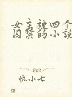 女主被四个病娇囚禁的小说