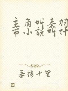 主角叫秦羽的都市小说叫什么