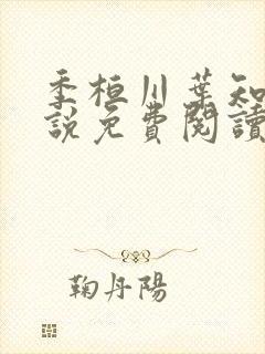 季桓川叶知意小说免费阅读最新章节