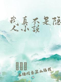 我真不是隐世高人小说