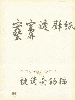 安室透壁纸高清竖屏