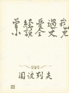 曾经爱过我刘念小说全文免费阅读