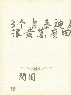 3个月泰迪尿液很黄怎么回事