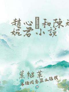 赵心睸和陈斌高婉君小说