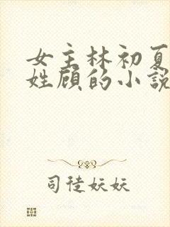 女主林初夏男主姓顾的小说