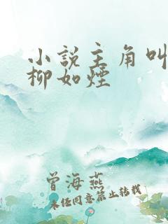 小说主角叫贺强柳如烟