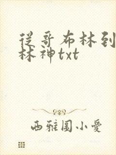 从哥布林到哥布林神txt