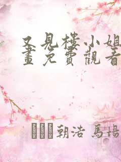 又见楼小姐的漫画免费观看