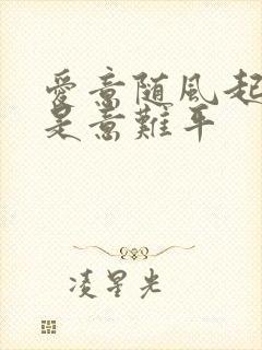 爱意随风起,终是意难平