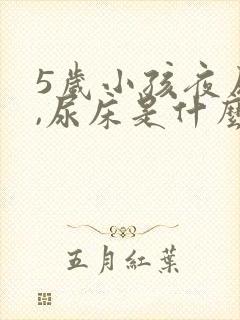 5岁小孩夜尿多,尿床是什么原因