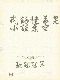 我的徒弟是女帝小说叶空