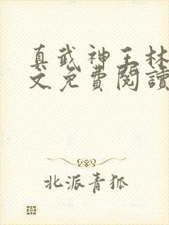 真武神王林阳全文免费阅读