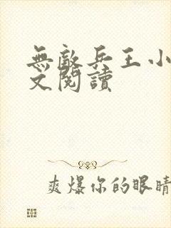 无敌兵王小说全文阅读