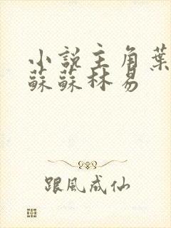 小说主角叶枫白苏苏林易