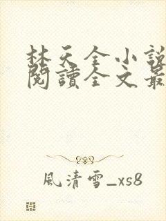 林天全小说免费阅读全文最新章节