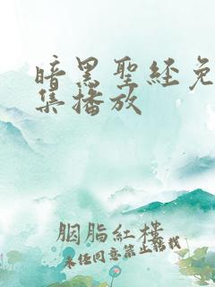 暗黑圣经免费全集播放