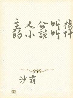 主人公叫杨小天的小说叫什么名字