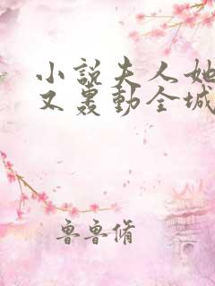 小说夫人她马甲又轰动全城了最新章节列表