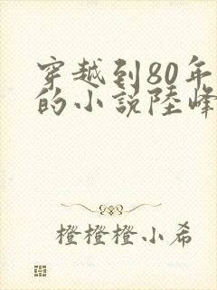 穿越到80年代的小说陆峰