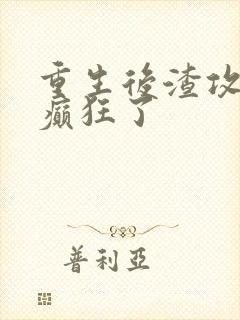 重生后渣攻为我癫狂了